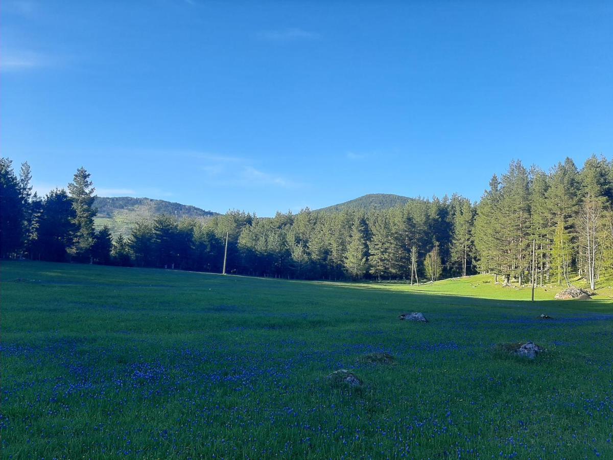 Vikendica Borje Villa Žabljak Dış mekan fotoğraf