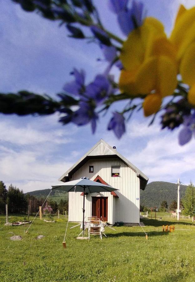 Vikendica Borje Villa Žabljak Dış mekan fotoğraf